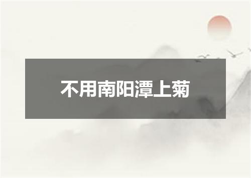 不用南阳潭上菊