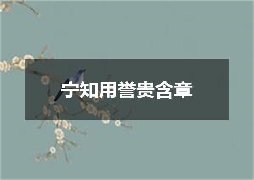 宁知用誉贵含章