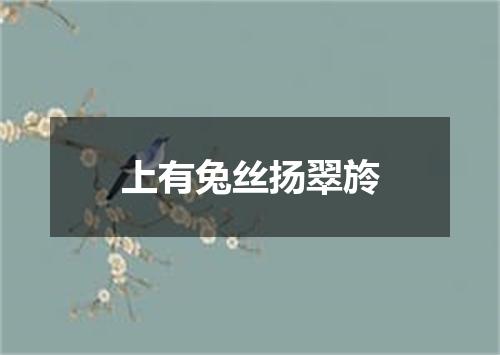 上有兔丝扬翠旍