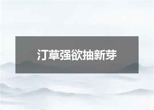 汀草强欲抽新芽