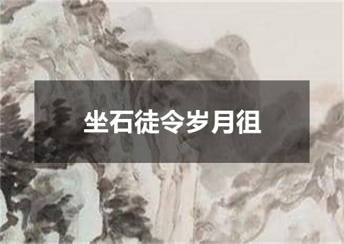 坐石徒令岁月徂