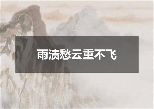 雨渍愁云重不飞
