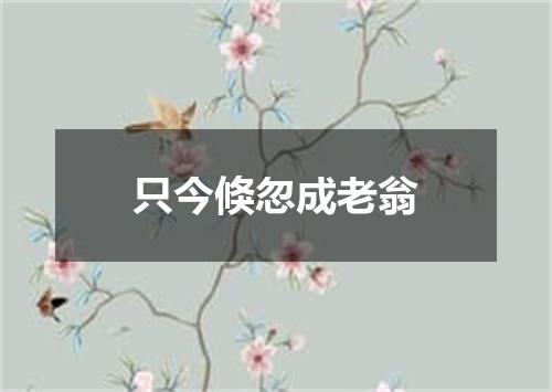 只今倏忽成老翁