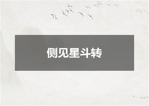 侧见星斗转