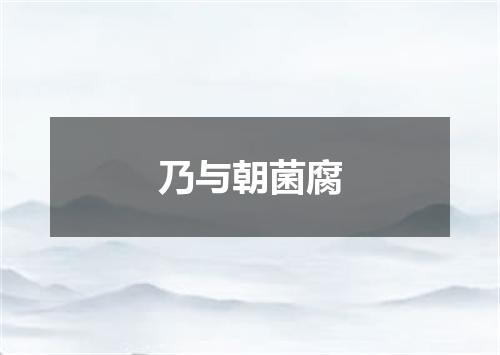 乃与朝菌腐