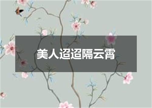 美人迢迢隔云霄