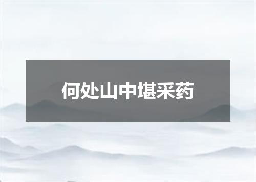 何处山中堪采药