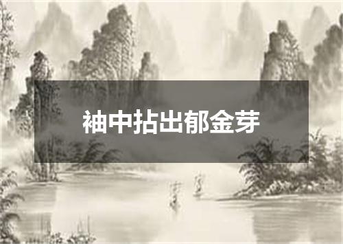 袖中拈出郁金芽