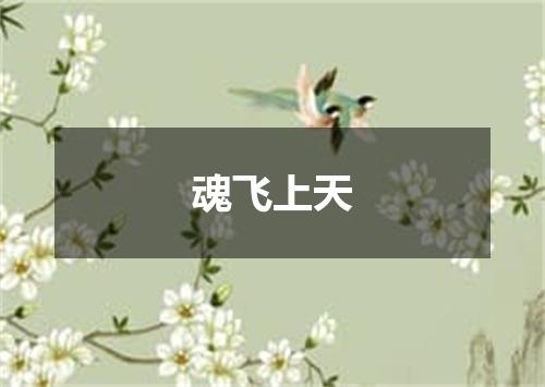 魂飞上天