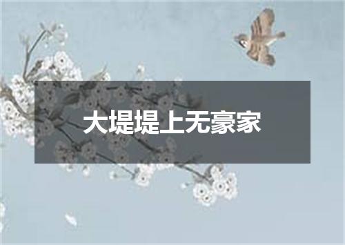 大堤堤上无豪家