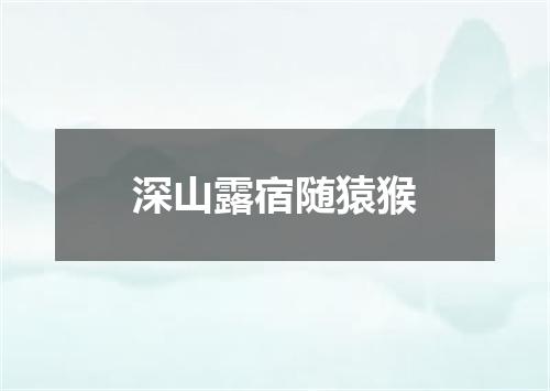 深山露宿随猿猴