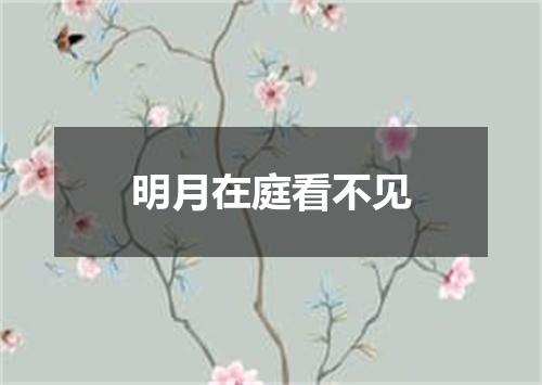明月在庭看不见