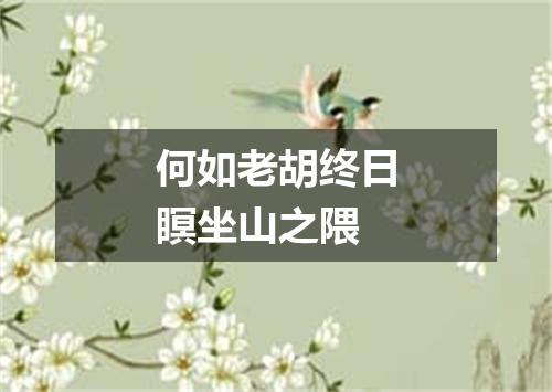 何如老胡终日瞑坐山之隈
