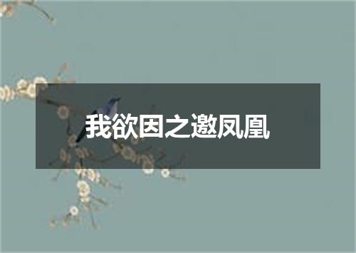我欲因之邀凤凰