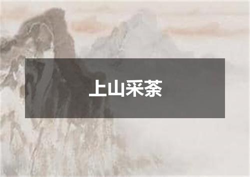 上山采荼