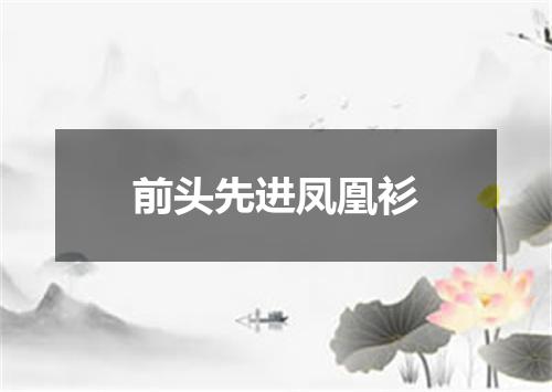 前头先进凤凰衫