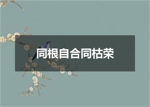 同根自合同枯荣