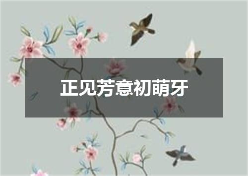 正见芳意初萌牙