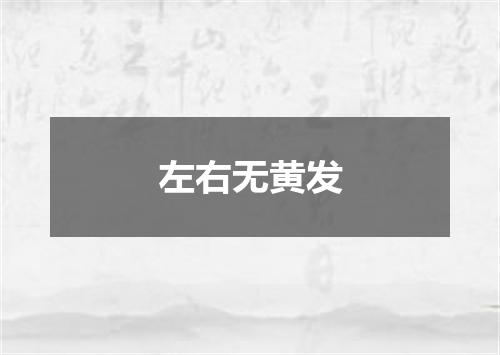 左右无黄发