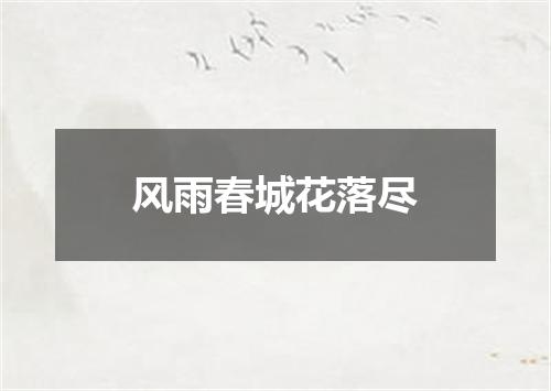 风雨春城花落尽