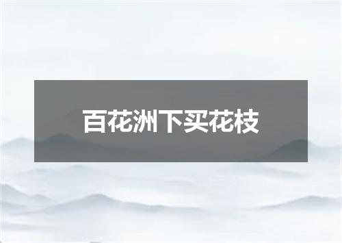 百花洲下买花枝