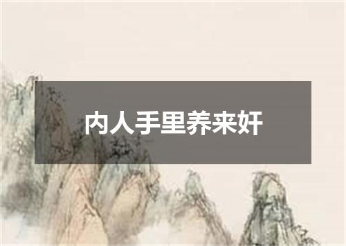 内人手里养来奸