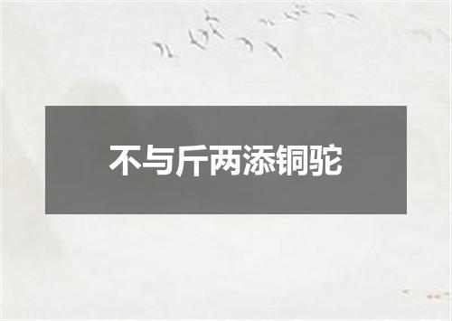 不与斤两添铜驼