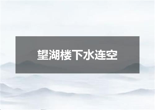 望湖楼下水连空