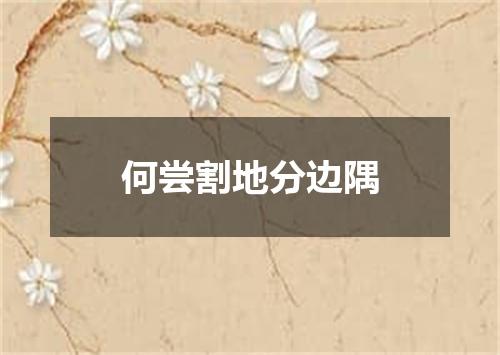 何尝割地分边隅