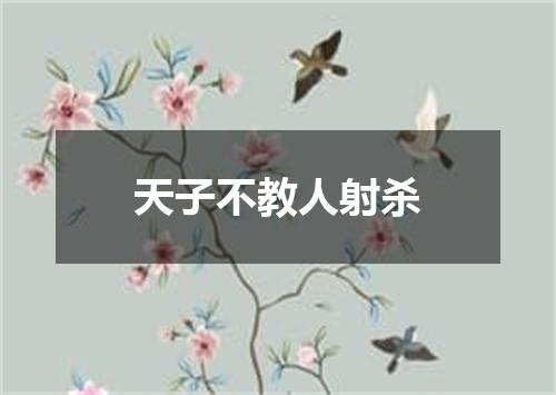 天子不教人射杀