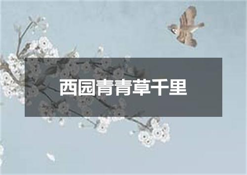 西园青青草千里