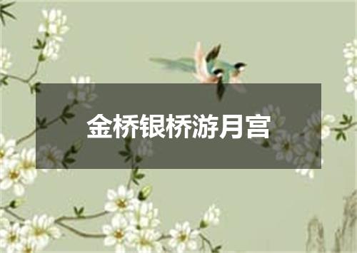 金桥银桥游月宫