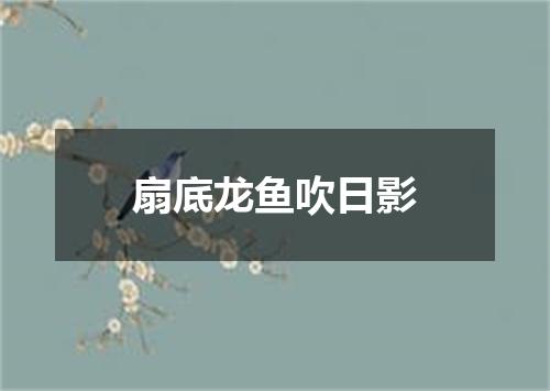 扇底龙鱼吹日影