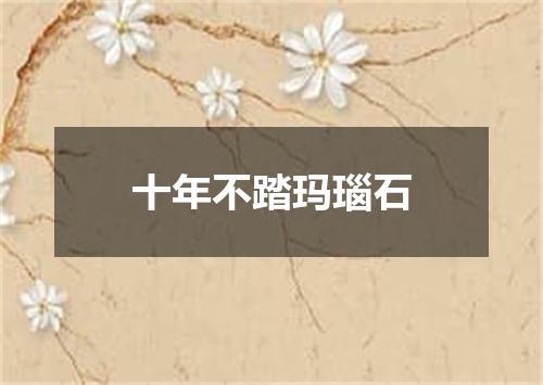 十年不踏玛瑙石