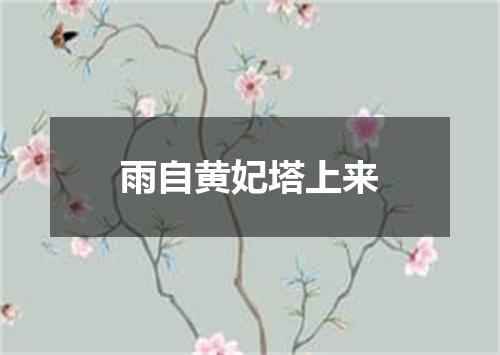 雨自黄妃塔上来