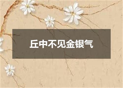丘中不见金银气