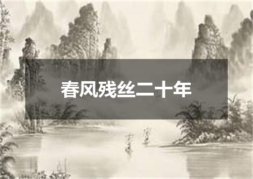 春风残丝二十年