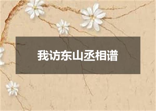 我访东山丞相谱