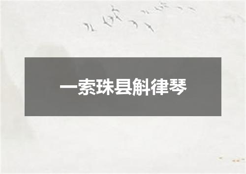 一索珠县斛律琴