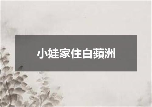 小娃家住白蘋洲