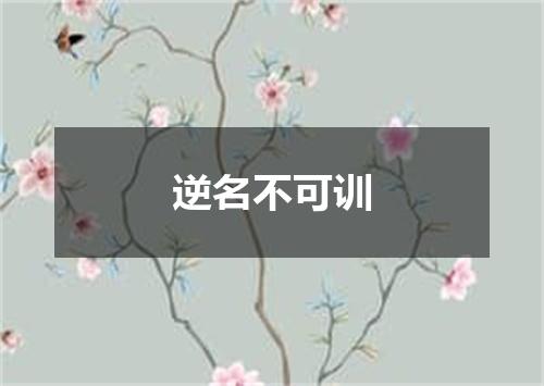 逆名不可训