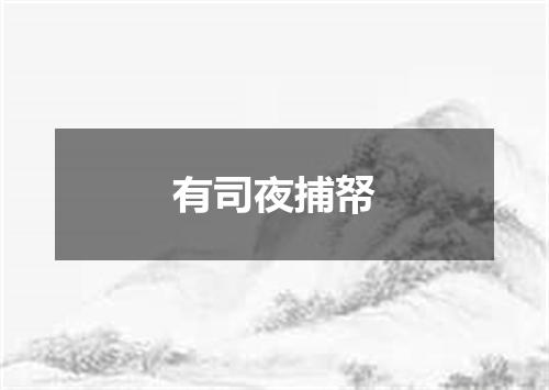 有司夜捕帑