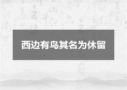 西边有鸟其名为休留