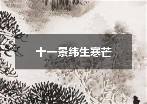 十一景纬生寒芒