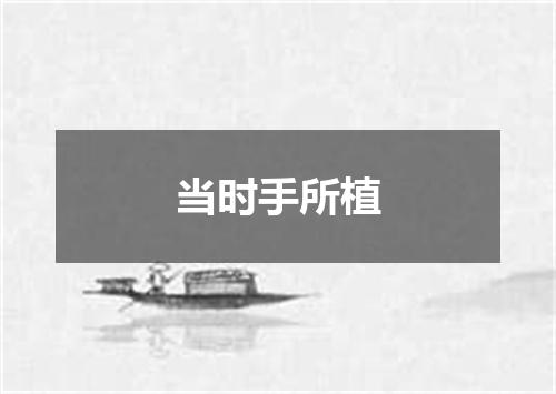 当时手所植