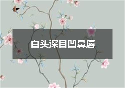 白头深目凹鼻唇