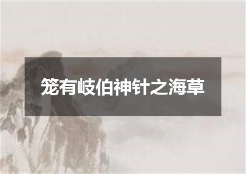 笼有岐伯神针之海草