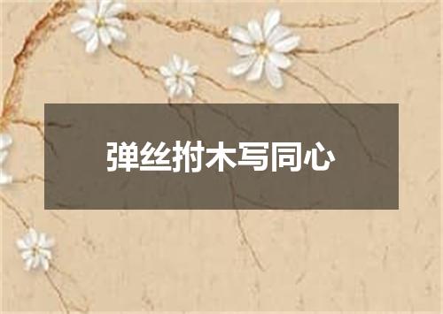 弹丝拊木写同心