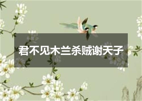 君不见木兰杀贼谢天子