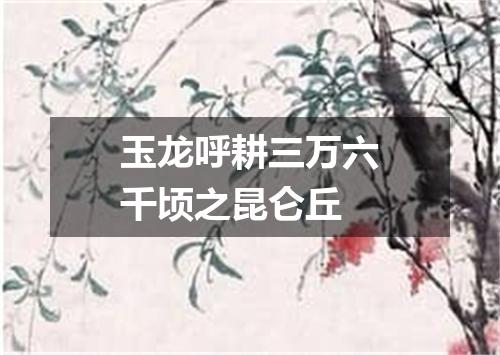 玉龙呼耕三万六千顷之昆仑丘